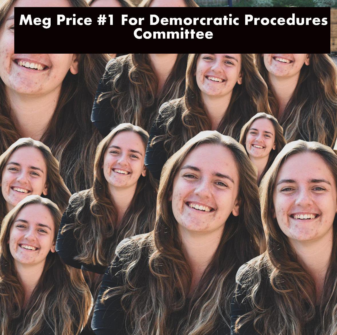 megcprice's tweet photo. Some would say subtle marketing works. Others would change their zoom background to one of these iconic images for the last day of #NatCon21 Big shout out to @_Lou_Hall for her artistic gifts! #MegP4DPC #MegforNSC https://t.co/AAJXQ6yWlR