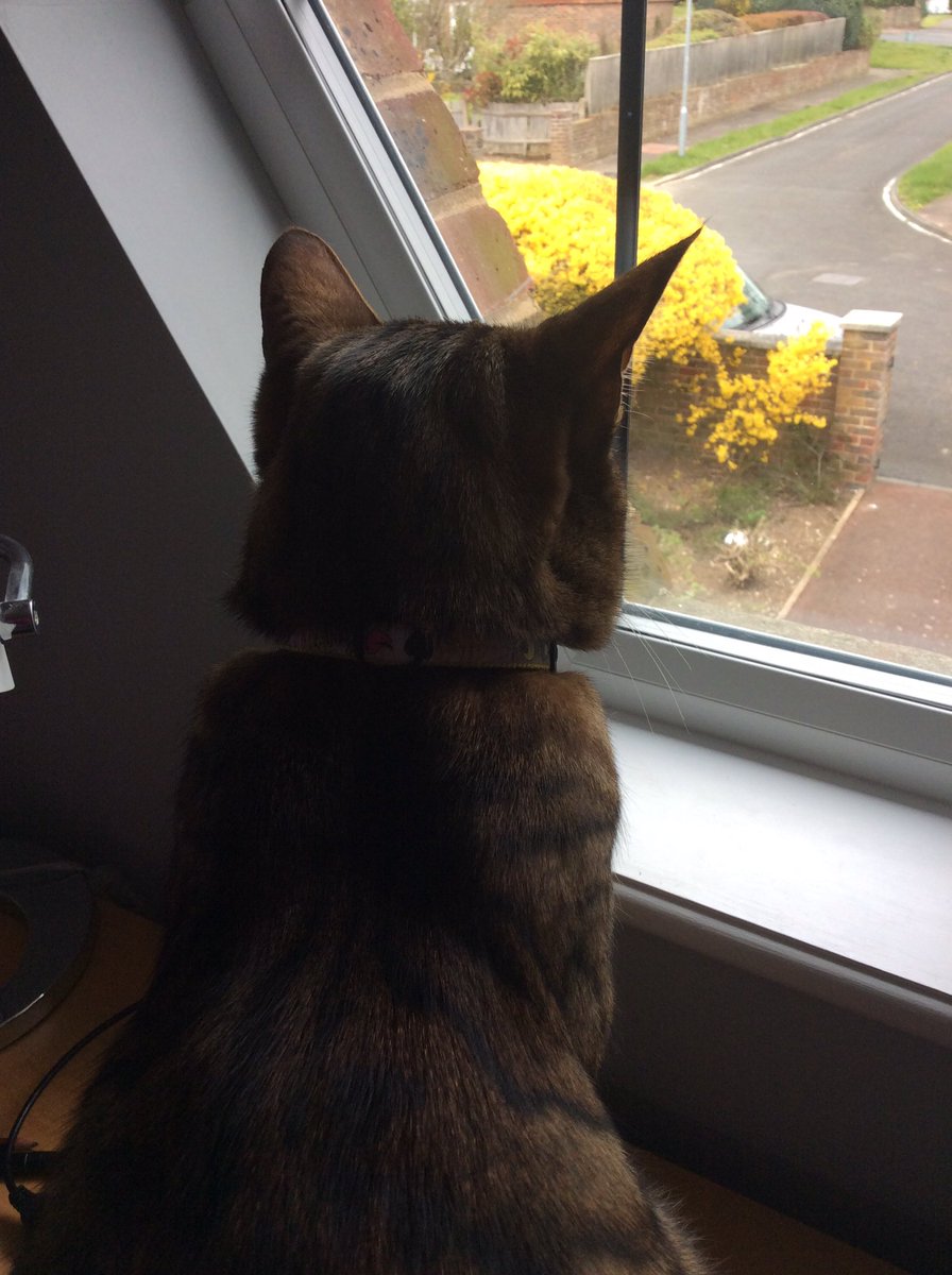 annie_warman's tweet photo. @stripeyspotty Still waytin furr my speshal prezzant. #itsnotyetover #mysticjago https://t.co/6vI9ZI3FSi