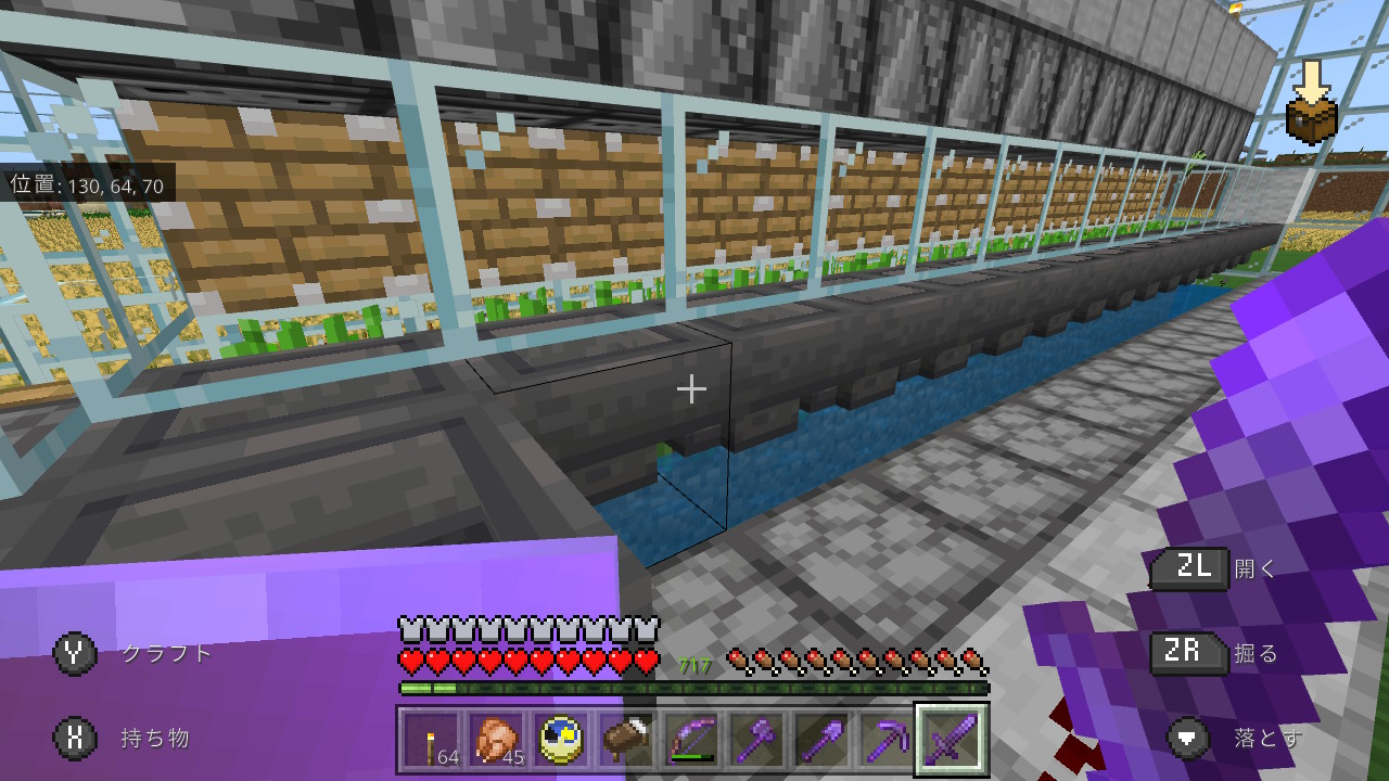 シン やっと骨ブロックが1lc集まった 使う予定はない Minecraft マイクラ マインクラフト Nintendoswitch T Co 6hha09lx9a Twitter