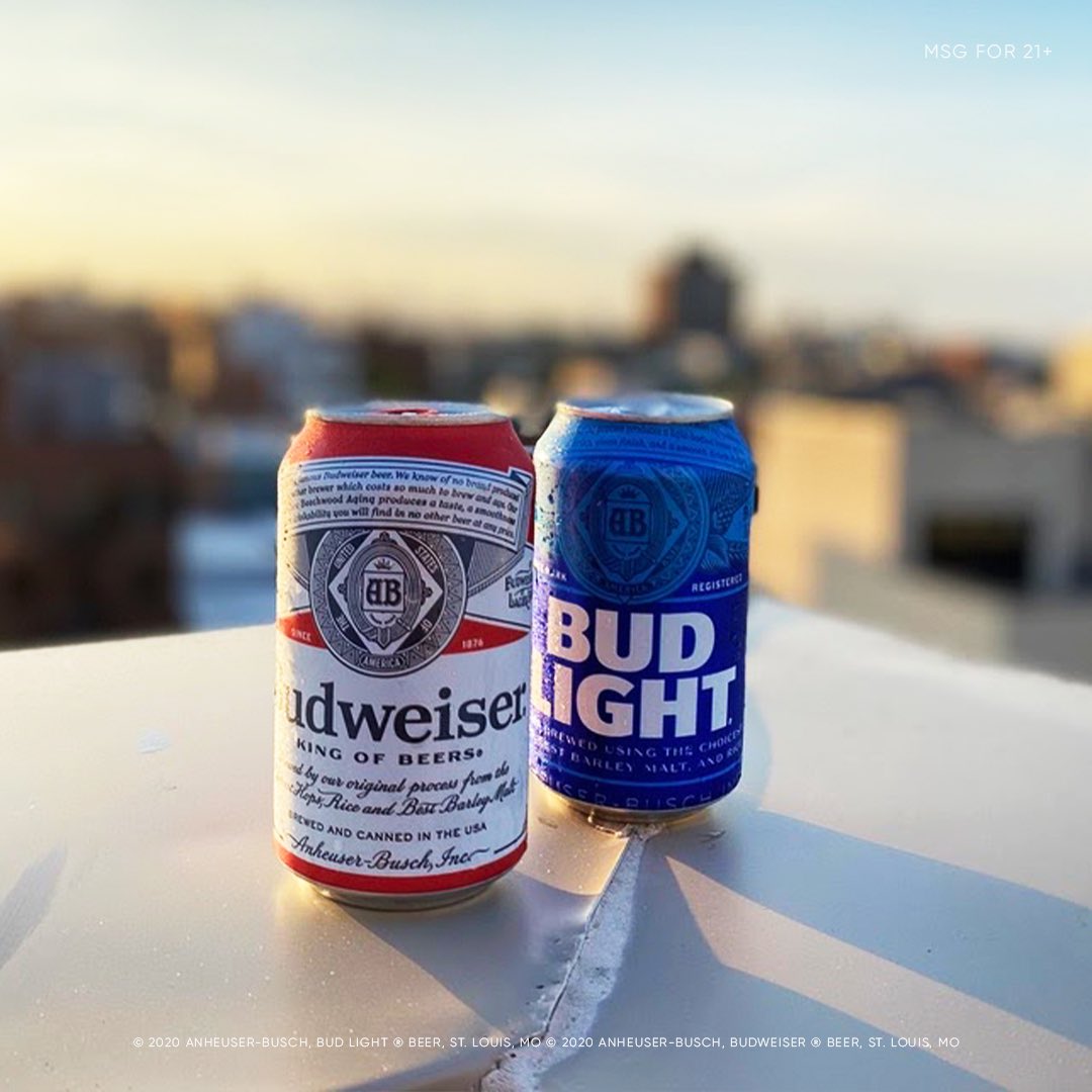 7GDistributing's tweet image. Nothing says #NationalBeerDay like this family duo. Which one are you going for? ‘Retweet’ for @budlight and ‘Like’ for @budweiserusa.