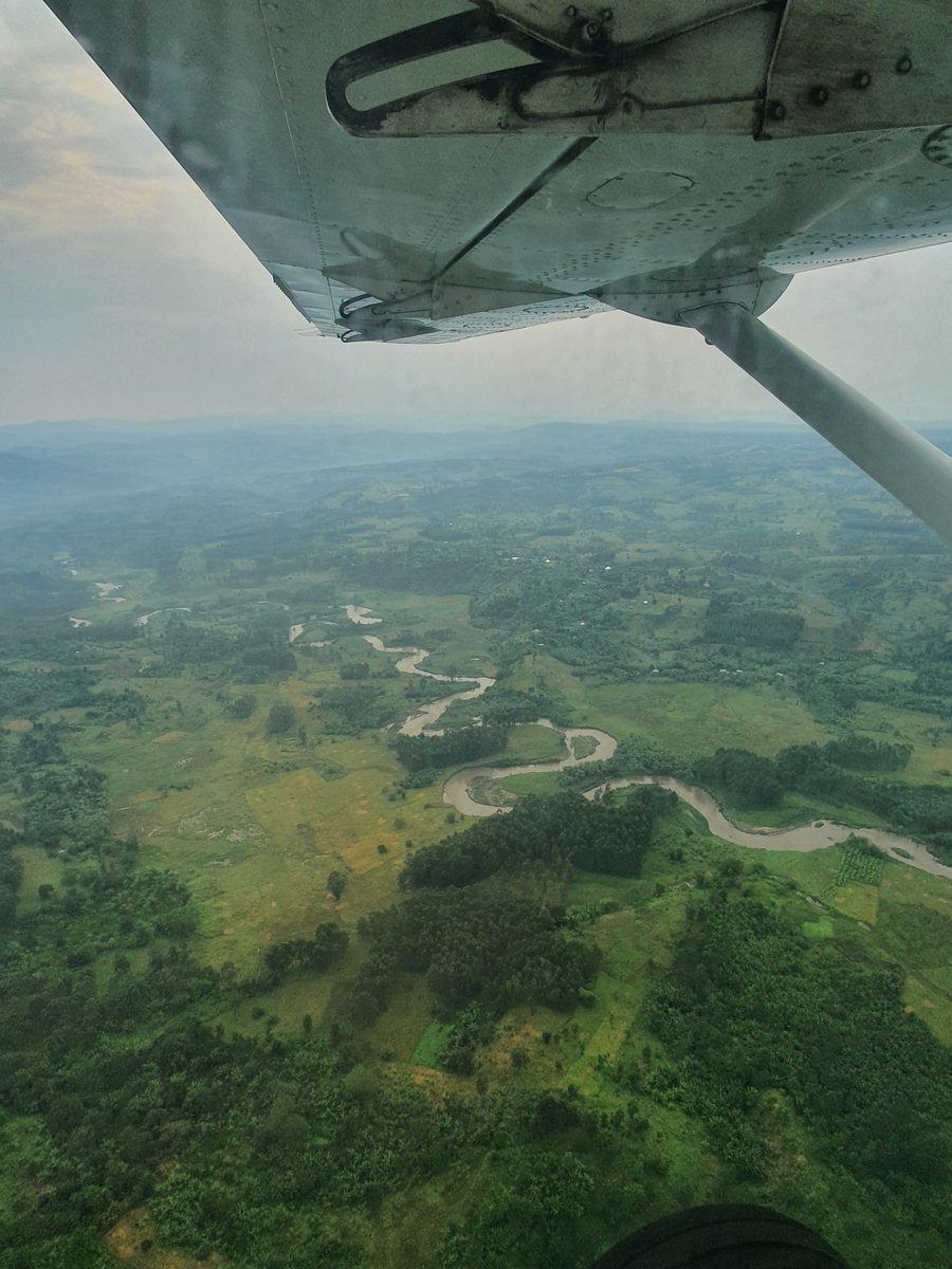 ExclusiveCamps's tweet photo. Look how green the south west is looking! The rains have really blessed us this season! 🌧🌳 #BuhomaLodge https://t.co/rcsOLsF448