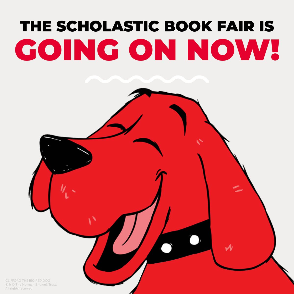 virtualbookfairs.scholastic.ca/pages/5151954 #qvsvirtualfair