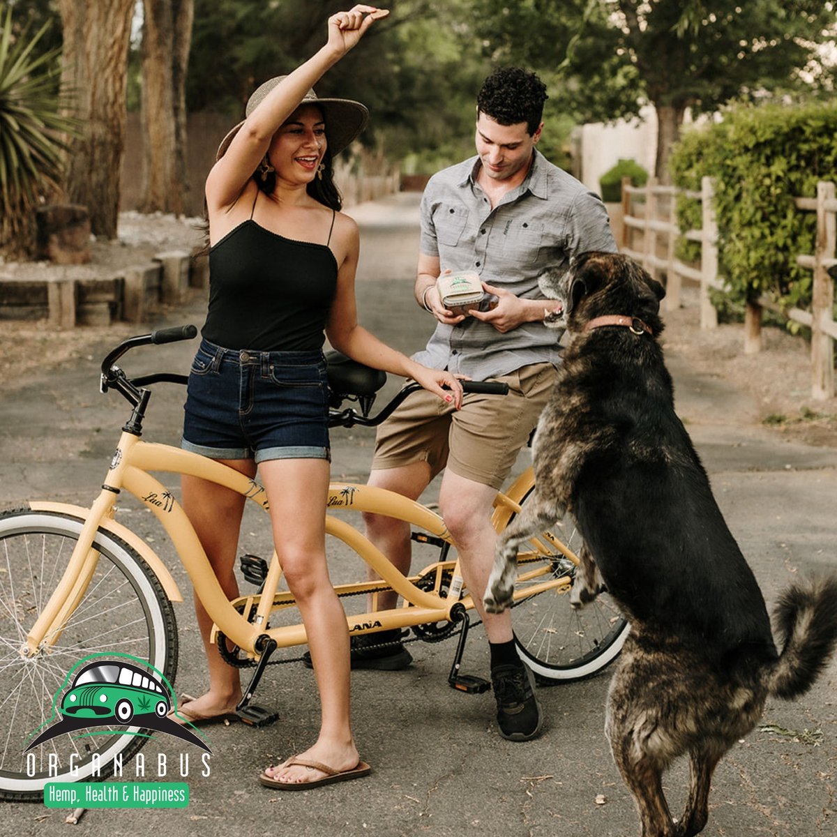 OrganabusCBD's tweet photo. Bike riding fun + #Organabus #petcbd treats = 😁 #life

Order here 👉https://t.co/dtd1gMWSyY

#cbdhealth #cbdinfo #cbdcommunity #cbdheals #hemp #health #happiness #spring #girlsofsummer #love #petsofinstagram https://t.co/CLwxw7joMg