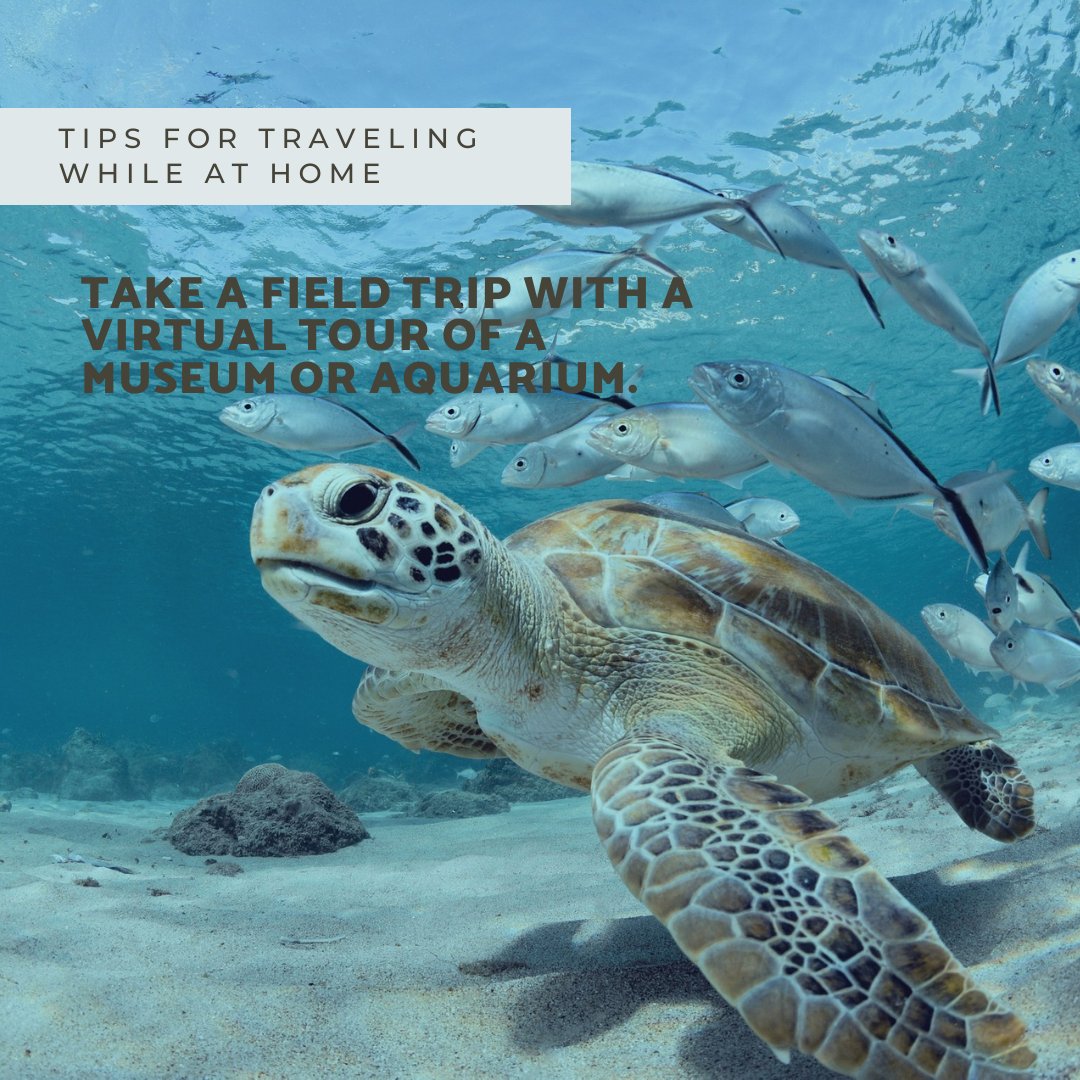 CruiseDepot's tweet photo. https://t.co/U90G6xGyri
