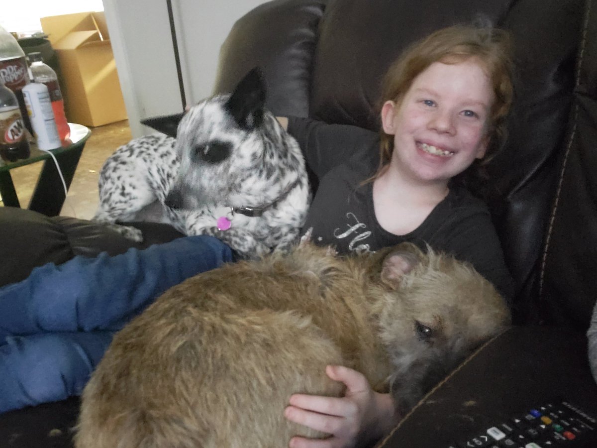 GrayK06's tweet image. My daughter had a bad dream last night. She told me she had some vampires attacking her, but she wasn't scared. Sam and Dean Winchester were there to save her! @jarpad @JensenAckles #Supernatural #SPNFamily