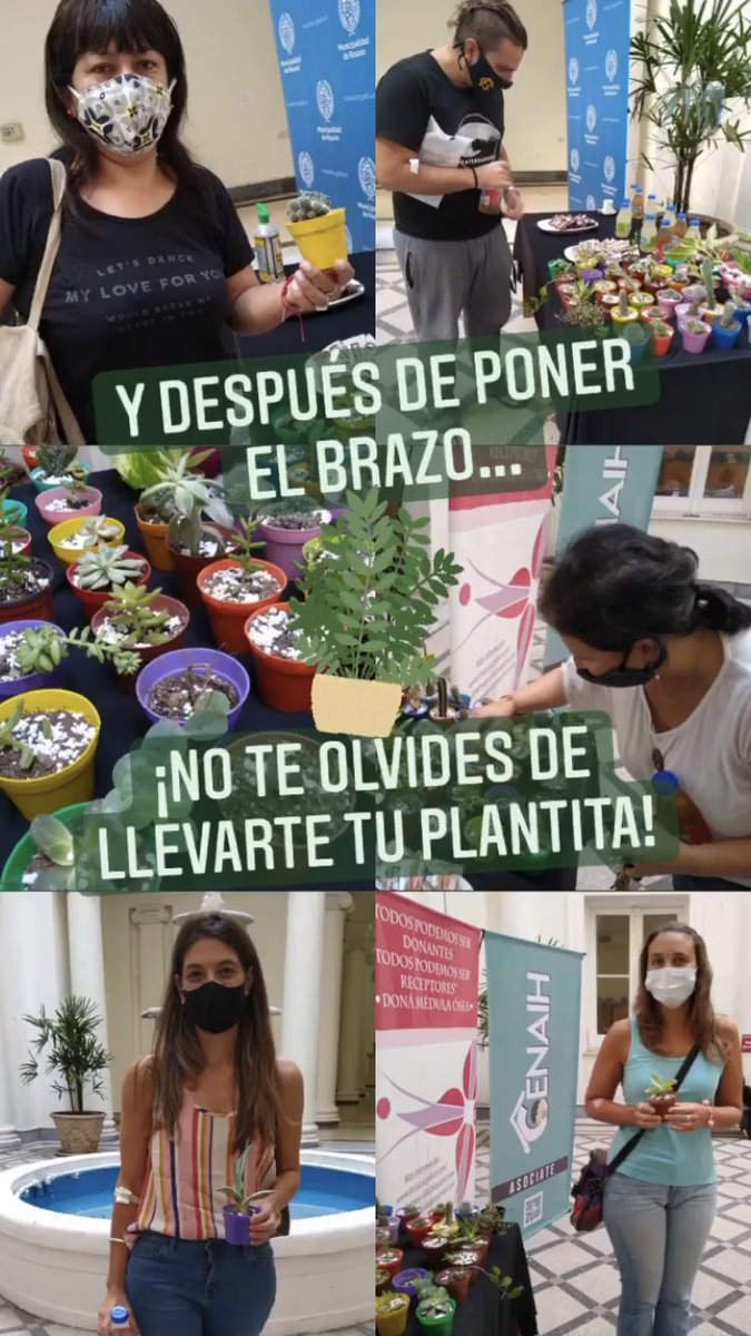 📆 En el marco del Día Nacional del Donante de Médula Ósea, acércate a donar sangre y regístrate como potencial donante de médula. 🩸

📍 ¿Dónde? En el Palacio de los Leones, tenés tiempo hasta las 14 hs.

🪴 Después de poner el brazo no te olvides de llevarte tu plantita! 🌸