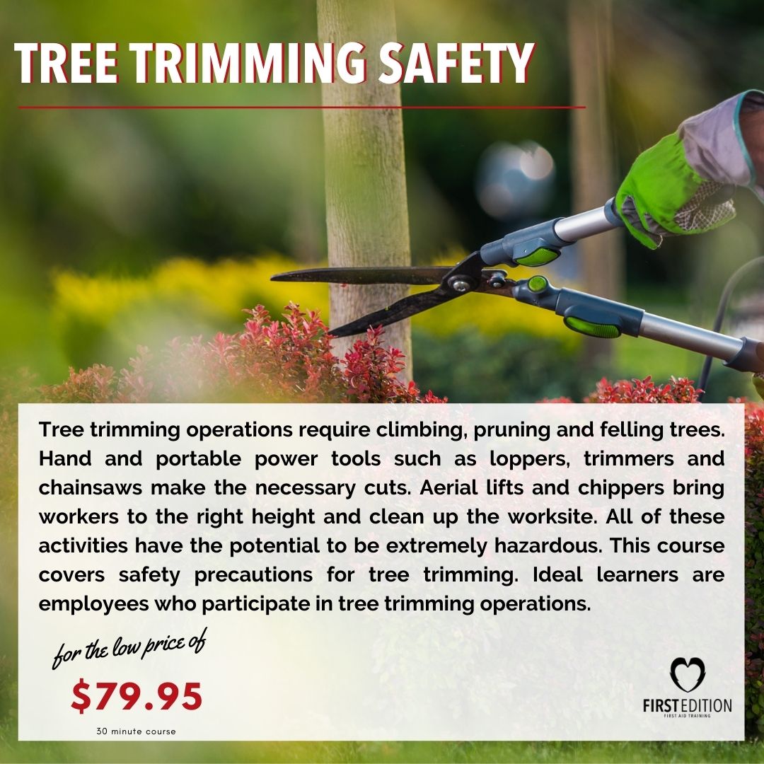 Anybody else excited to get out in the garden?
 
Trees are essential for a beautiful garden. They require routine maintenance. Register for our 30 minute course to cover all safety precautions before you start.
 
bistrainer.com/store/first-ed…  
 
#gardening #treetrimming #treecare