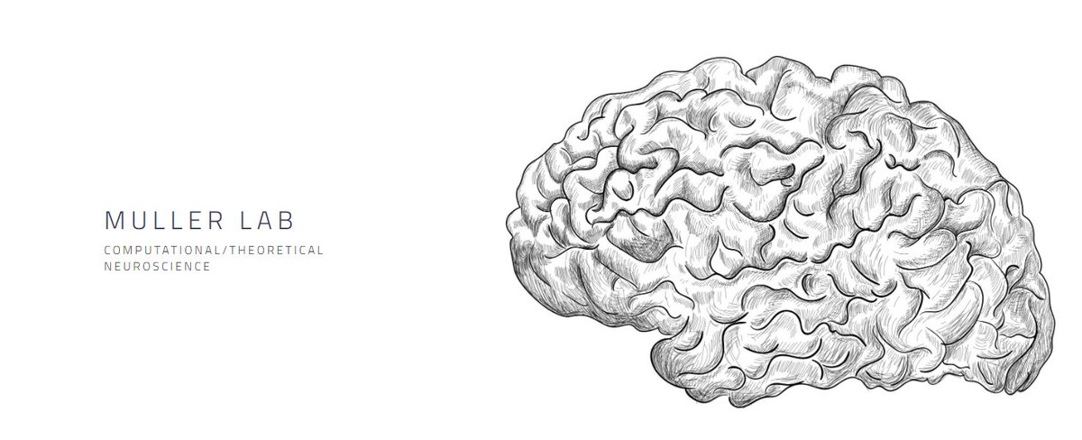 Western Math (@westernumath) on Twitter photo A new <a href="/WesternU/">Western University</a>-<a href="/FieldsInstitute/">The Fields Institute</a> #seminar series in Networks, Random Graphs, and Neuroscience, organized by <a href="/JanMinac/">Jan Minac</a> <a href="/_mullerlab/">Lyle Muller</a> & D. Jeffrey, will be rolled out with monthly talks to make new discussions and collaborations across #math and #neuroscience. A new <a href="/WesternU/">Western University</a>-<a href="/FieldsInstitute/">The Fields Institute</a> #seminar series in Networks, Random Graphs, and Neuroscience, organized by <a href="/JanMinac/">Jan Minac</a> <a href="/_mullerlab/">Lyle Muller</a> & D. Jeffrey, will be rolled out with monthly talks to make new discussions and collaborations across #math and #neuroscience.