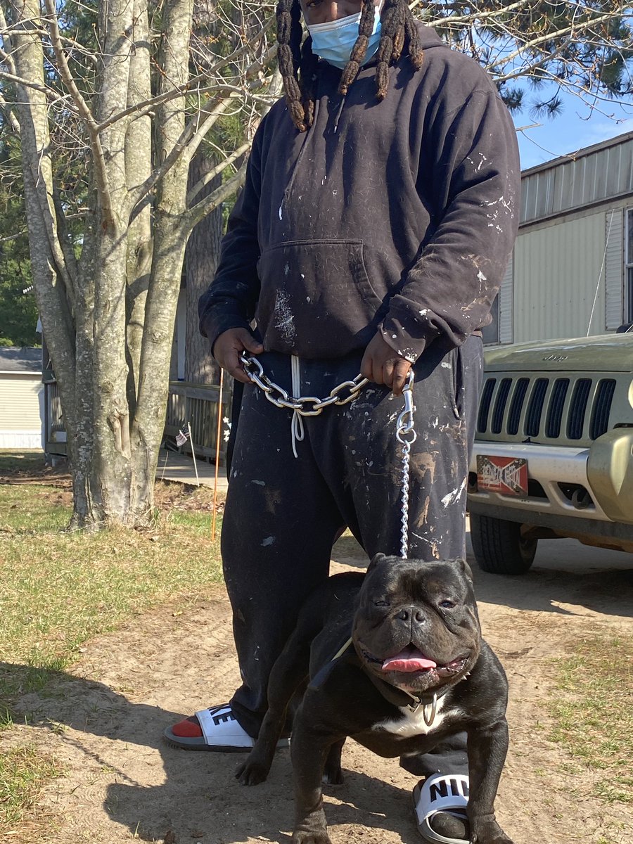 ReefaHolloway's tweet photo. I got puppy fever 🤒 🤞🏾💰🔥 https://t.co/XEgXeRg6fK