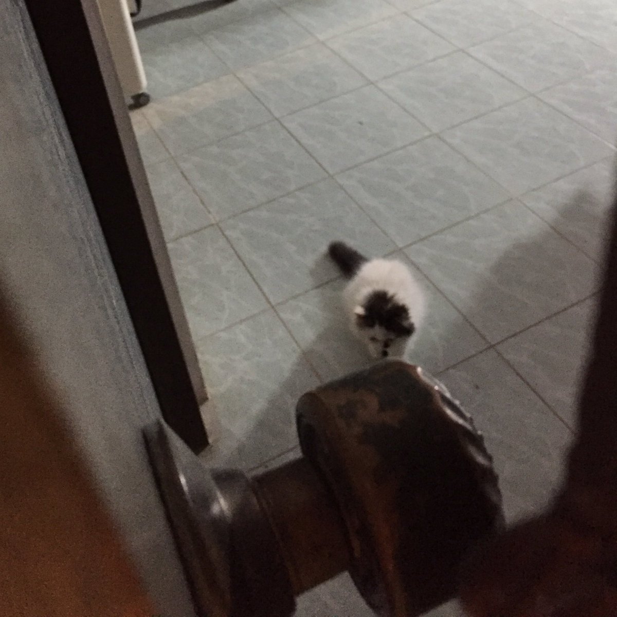 LODE1994_'s tweet photo. คนเป็นร้อยรอเราไปเที่ยว มีเทอคลเดียวรอเรากลับบ้าน https://t.co/qT56PXy8Eq