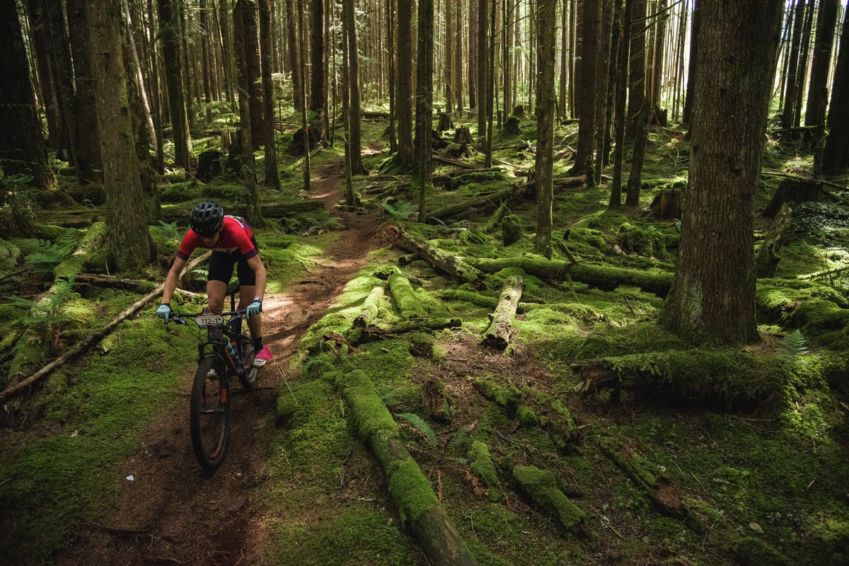 Loam forest cruising 😍