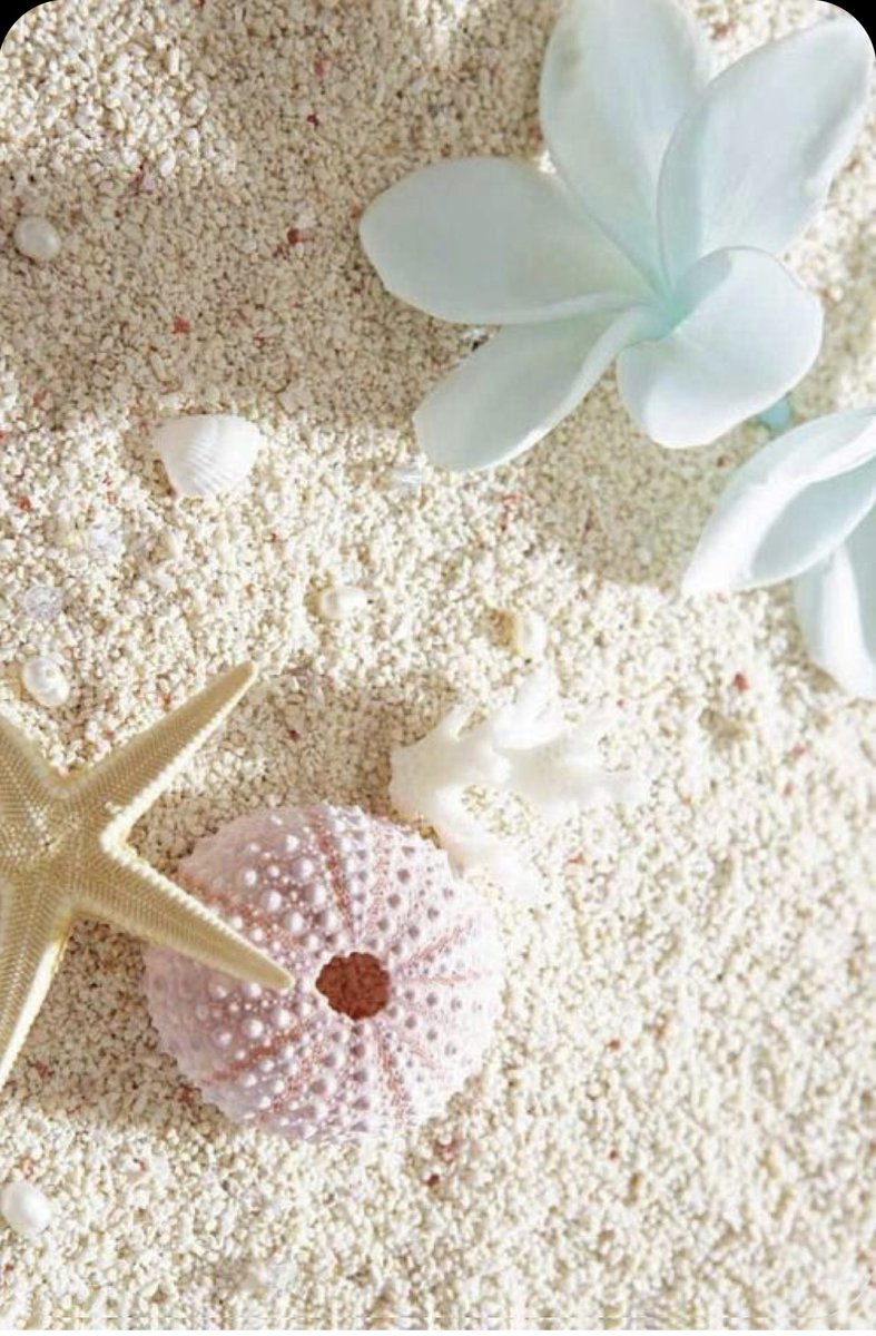 @lovessiyaa Beautiful Really.—  For You Pretty Little Girl.—