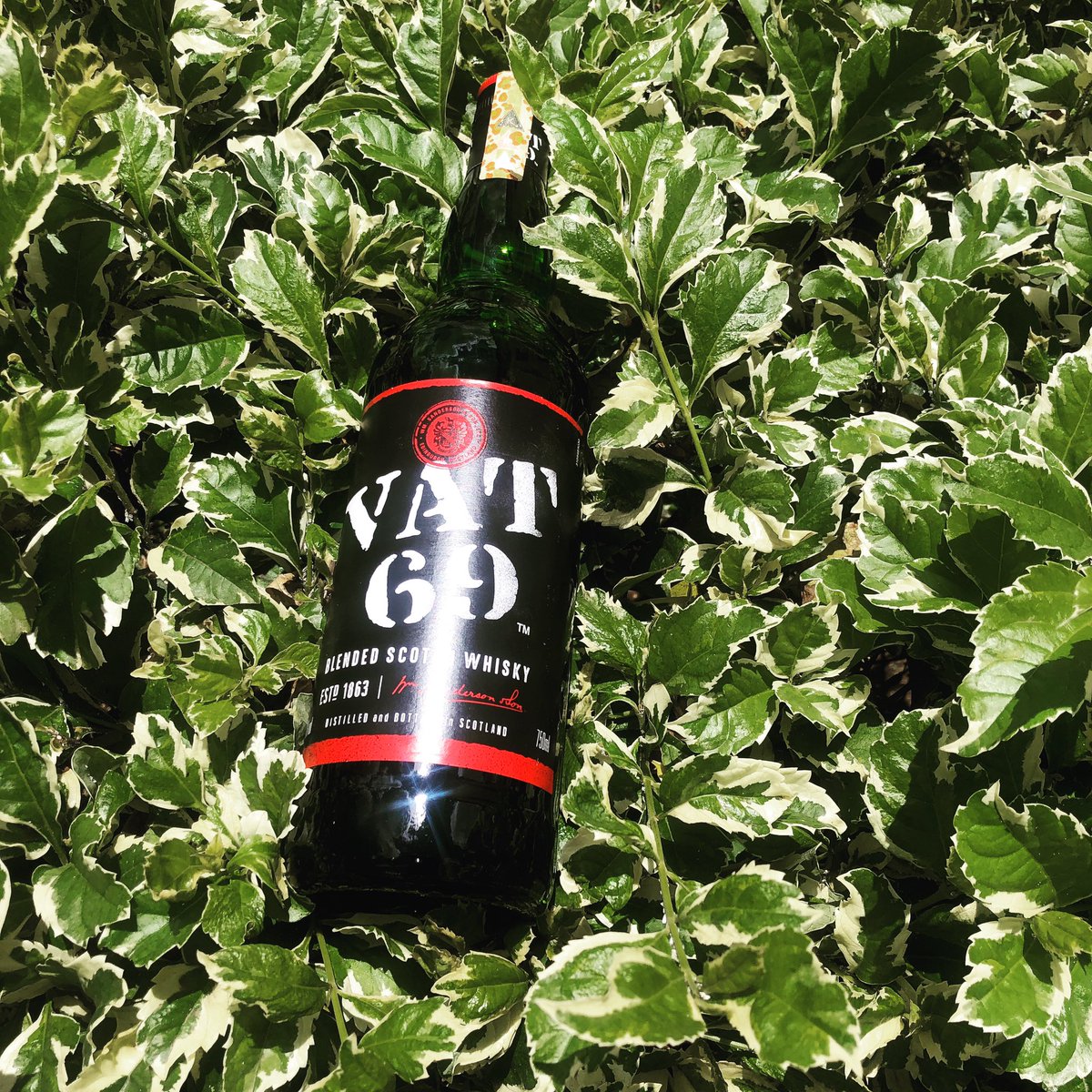 robe_kop's tweet photo. When the sun is out π
#iWork4EABL
#iWork4VAT69
#ScotchUnleashed https://t.co/OHWem4yrDV