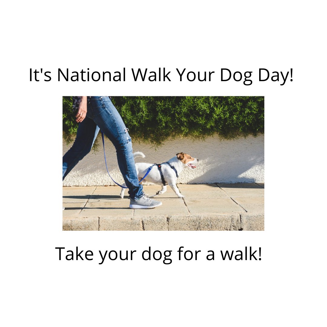 ivee_software's tweet photo. It's National Walk Your Dog Day, so grab that best 4-legged friend and go for a walk!

#nationalwalkingday #getoutside #takeyourdog #veterinary medicine #aipetcare https://t.co/U7Y0ueaDxv