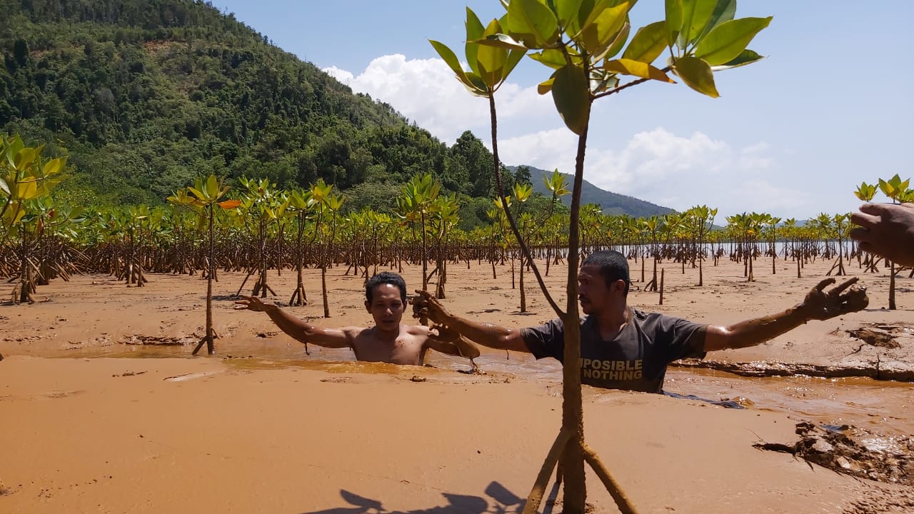 pantai Mabapura di Kota Maba, - Wesata.ID