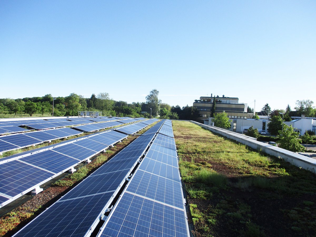 Sika's tweet photo. Solar installations on roofs are becoming increasingly popular worldwide. A Sika solar roof paired with a green roof is ideal for constructing the perfect home! 

Learn more: https://t.co/OGBwrtqBYA

#SikaKnowHow #SolarRoof #GreenRoof #EcoRoofs https://t.co/cGLMayUqFF