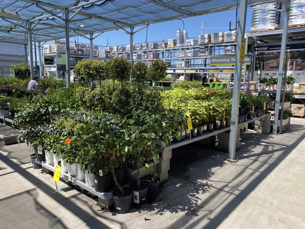 HD1324 looking good merchandised well