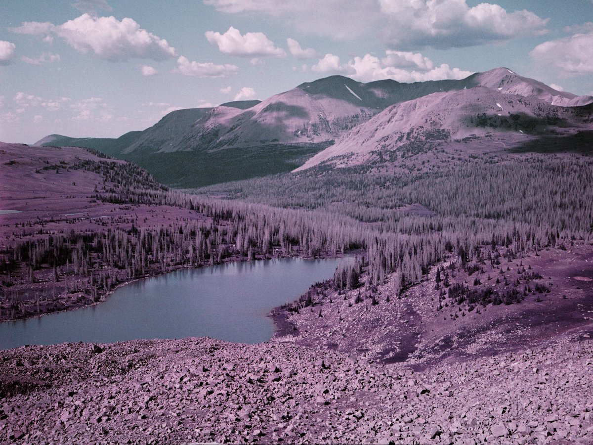 Nathan A. Bauman tweet media