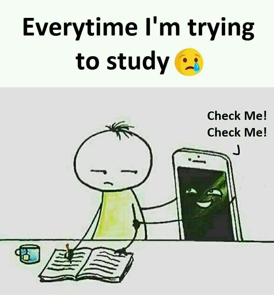 LlamaStugyBlog's tweet image. Does it happen to you all the time? 😂 
#studyllama #studyllamalife #studyhumor #dailymeme #funny #studying #tired