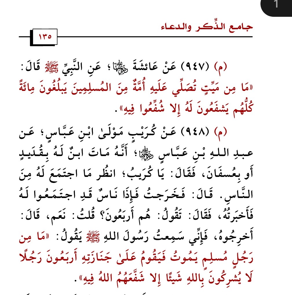 D.d5oon112 tweet media