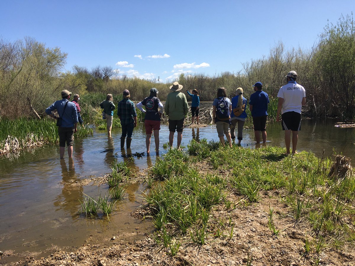 Me leading a nature walk about beavers
