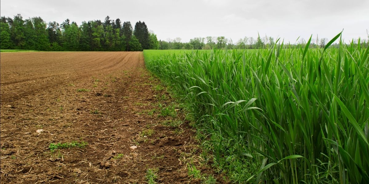 APDOasociacion's tweet photo. El mar 13 ABR te invitamos al Webinar gratuito donde analizaremos el choque de Culturas Organizativas en el caso real de la Fusión entre 2 pesos pesados como Bayer Agro EU y Monsanto USA

De la mano del profesor  Ceferí Soler de Esade y mesa de debate:

https://t.co/y6HsYrJMBw https://t.co/tkCPYUAu34
