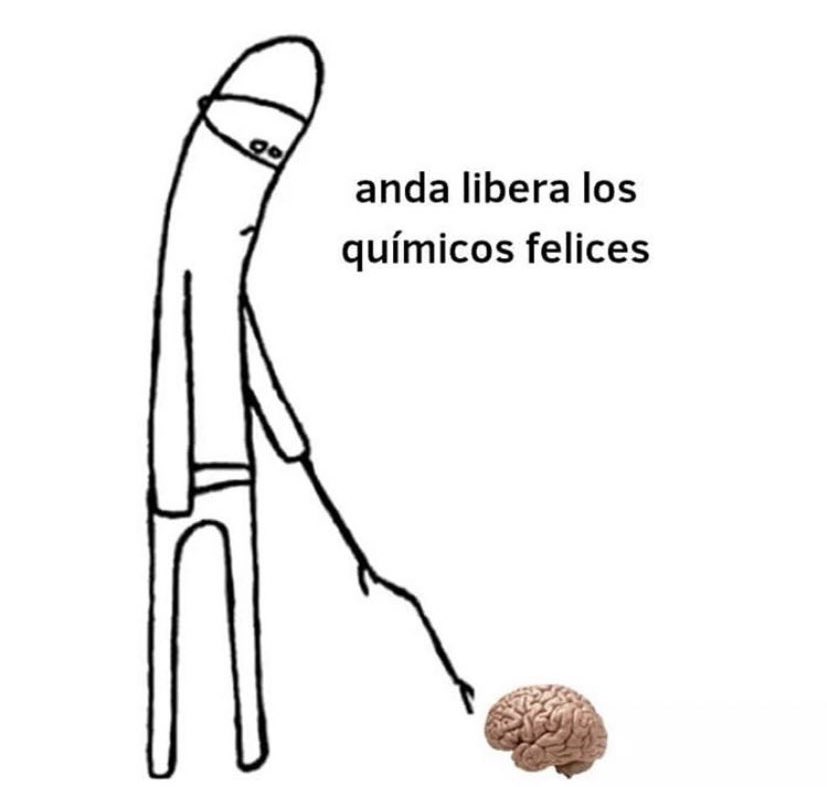 Mishelle Hecht (@hechtmishelle) on Twitter photo 