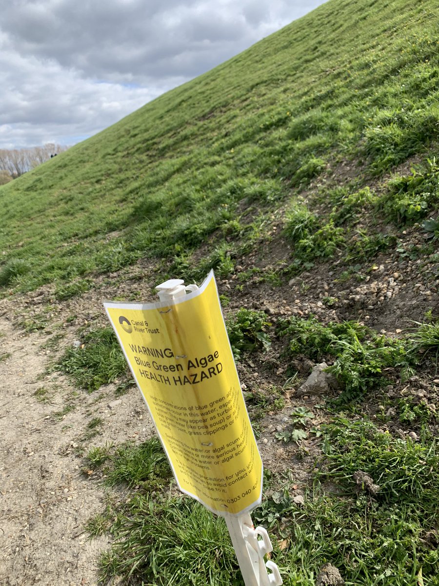 gaiadisrandafan's tweet photo. On a walk round the ressies a few mins ago - saw this warning sign for blue algae flapping in the wind...
Immediately made me think of @henrywlewis and @DrJoshuaElliott 😂 Didn’t realise I lived so close to the village of Oose @mischiefcomedy
#MMNI
#FrankDrinkthejuiceTHENdie https://t.co/MvBSzglIww