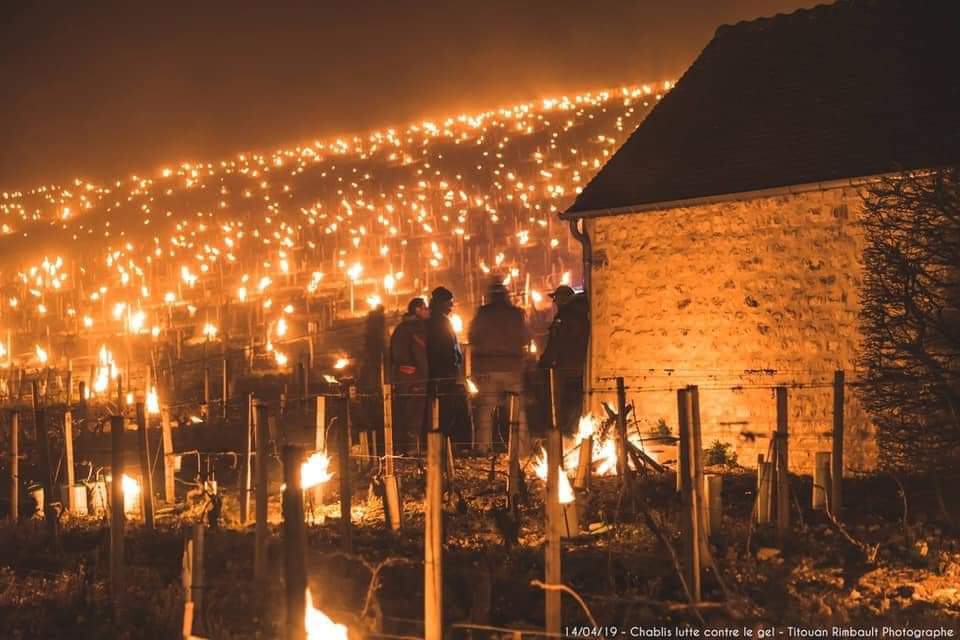 The pictures are beautiful, the consequences, not so much...
A big virtual hug to all the wineries fighting against frost this week.