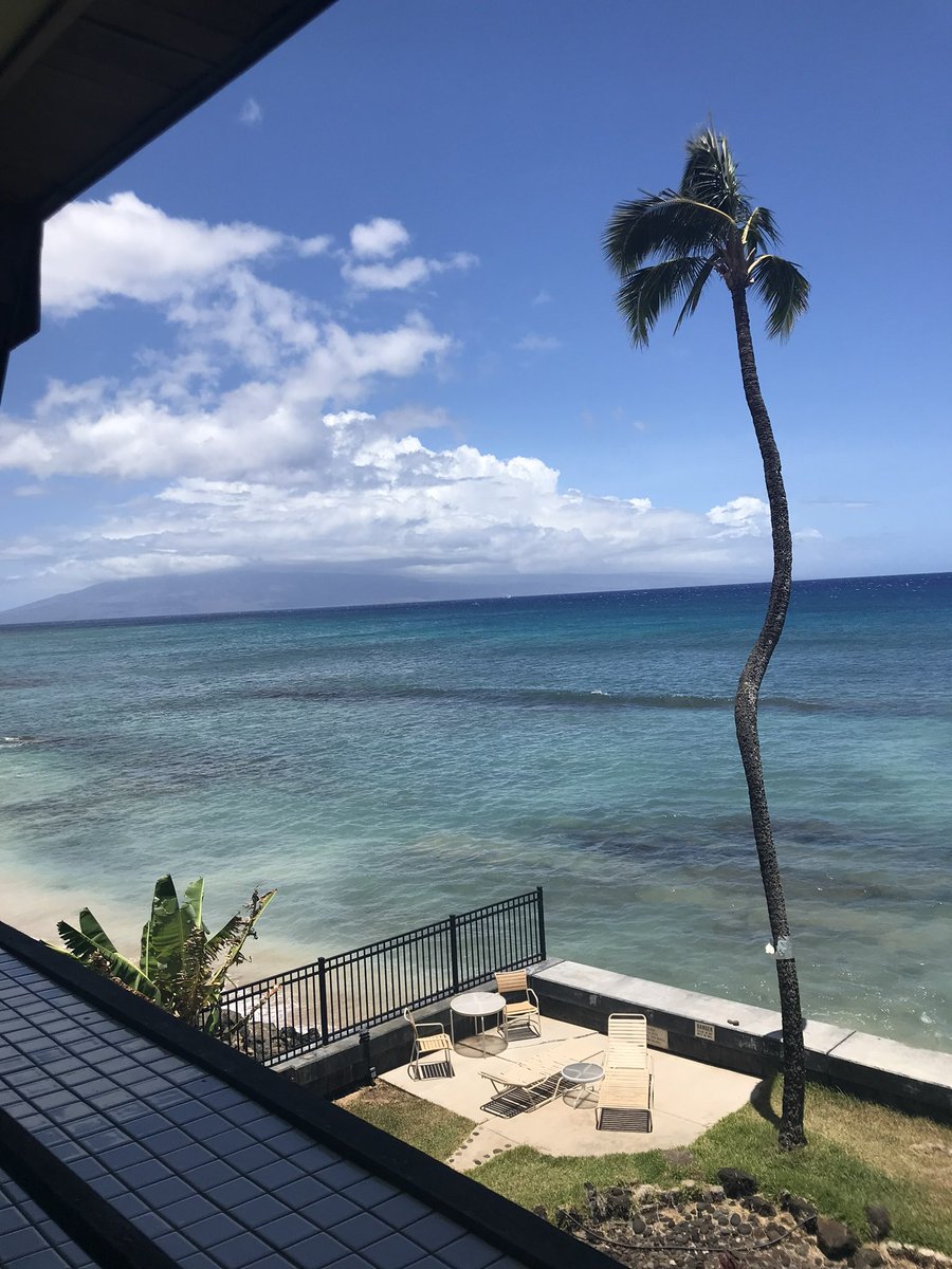 HaleyWeasel's tweet photo. I really just want to plan a trip back to Hawaii https://t.co/Zggm8gHJZ2