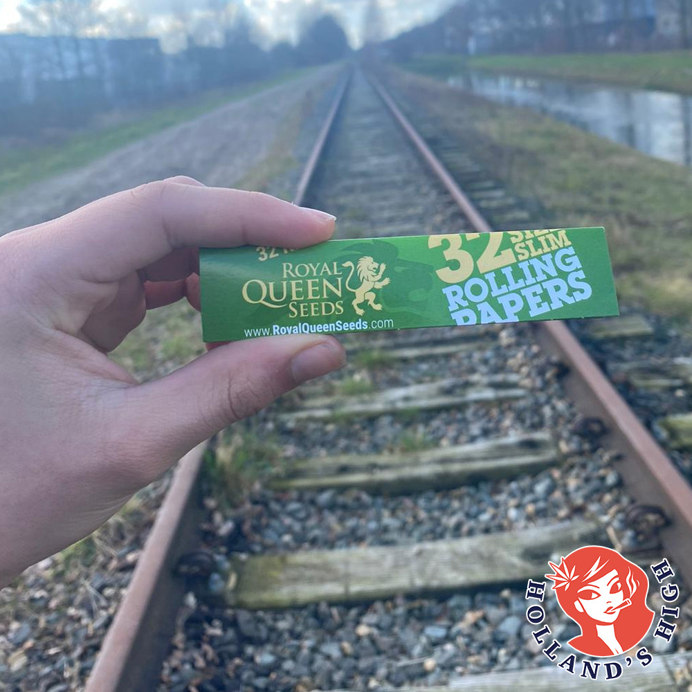 Hollands_High's tweet photo. RoyalQueenSeeds Rolling Paper! Wich rolling paper do you use? #RollingPaper #RQS #RQSRollingPaper #CBD #SmartShop #HeadShop #420 #Amsterdam #Weed #Cannabis #Smoke #Marrijuana #SmokingAccessoires #HighLife #Kush #HighLifeStyle #GoodVibes #Holland https://t.co/7J7jMi2l8S