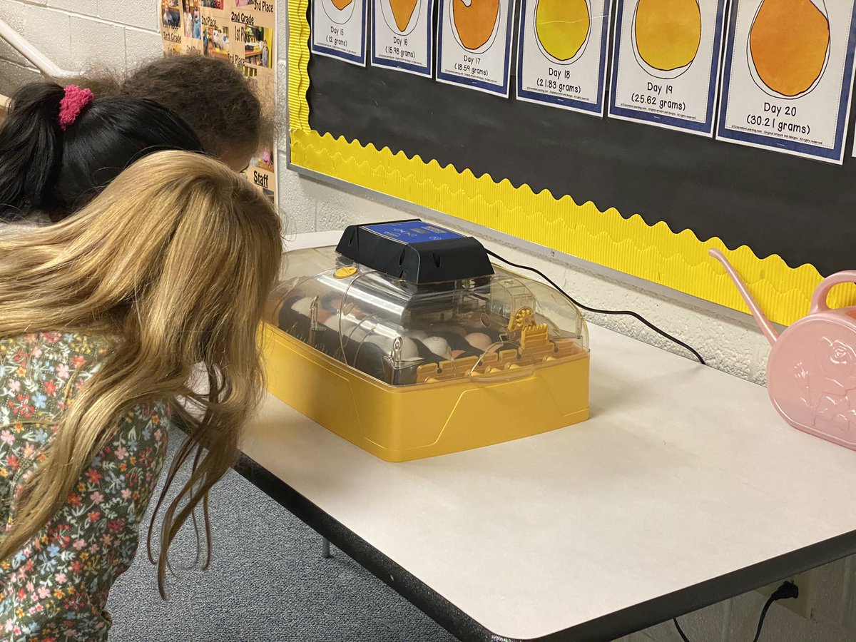 Mindy Logan tweet media