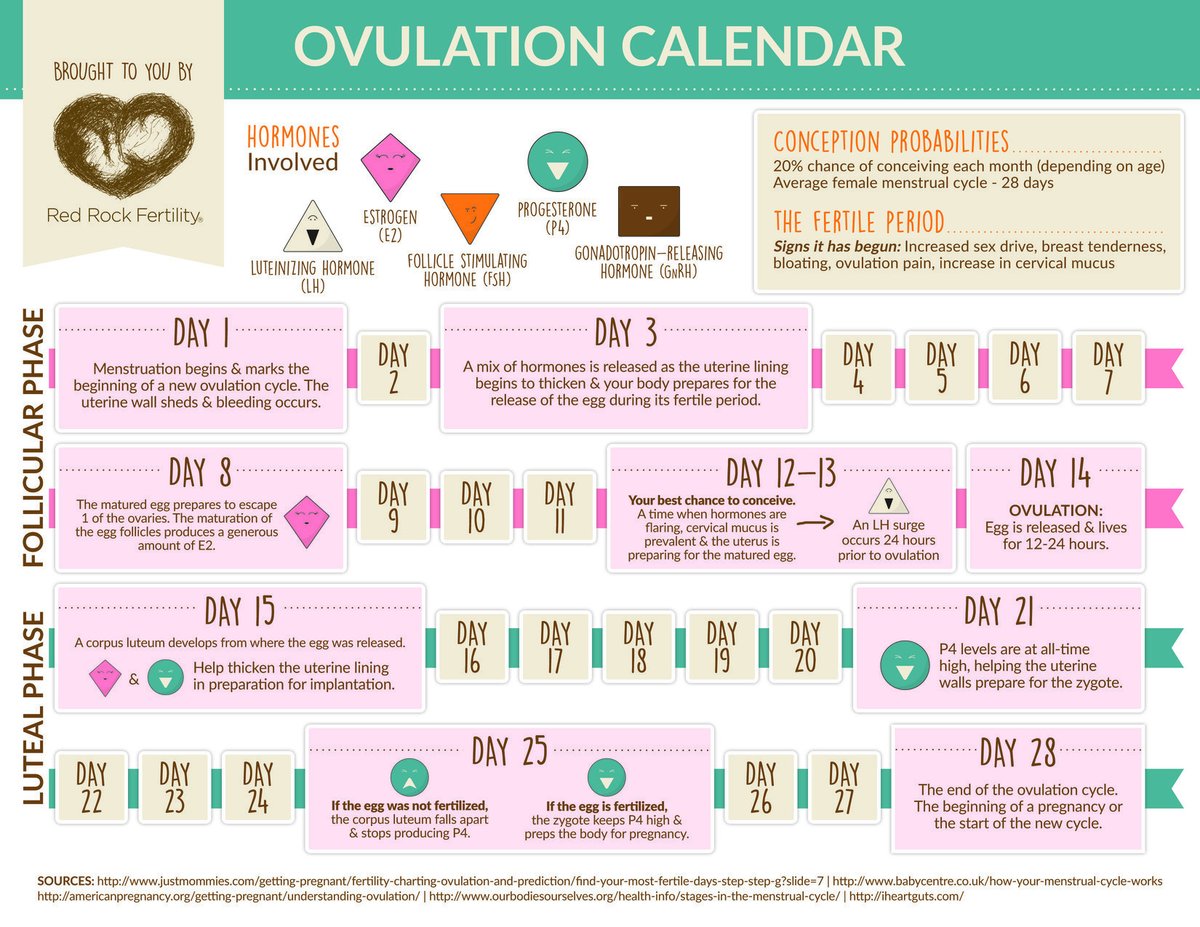 HOW DOES BC WORK?Birth control works by COMPLETELY shutting off ovulation, a critical phase of a healthy cycle + necessary for optimal hormonal healthWhen you shut down ovulation, your body doesn’t make progesterone