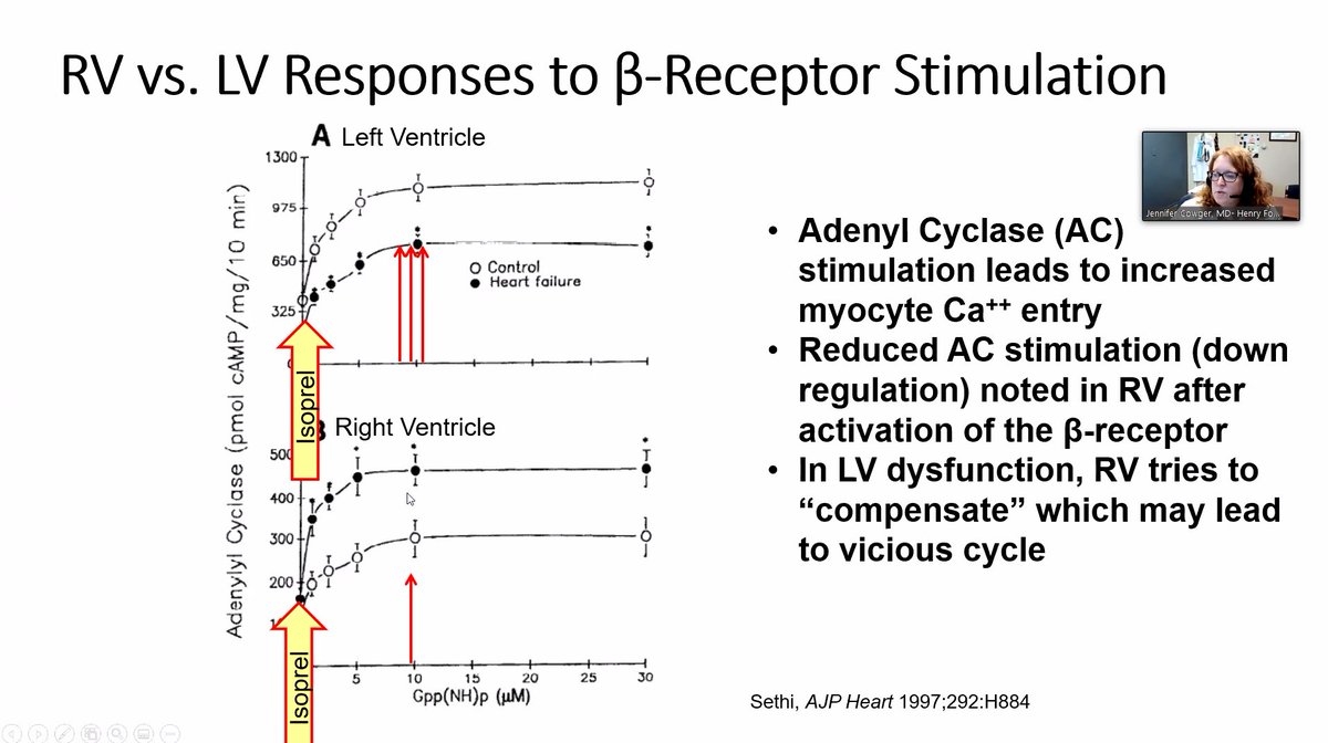 Fascinating basic science! When the LV is infarcted, there is an upregulation of receptors in the RV.  @preventfailure
