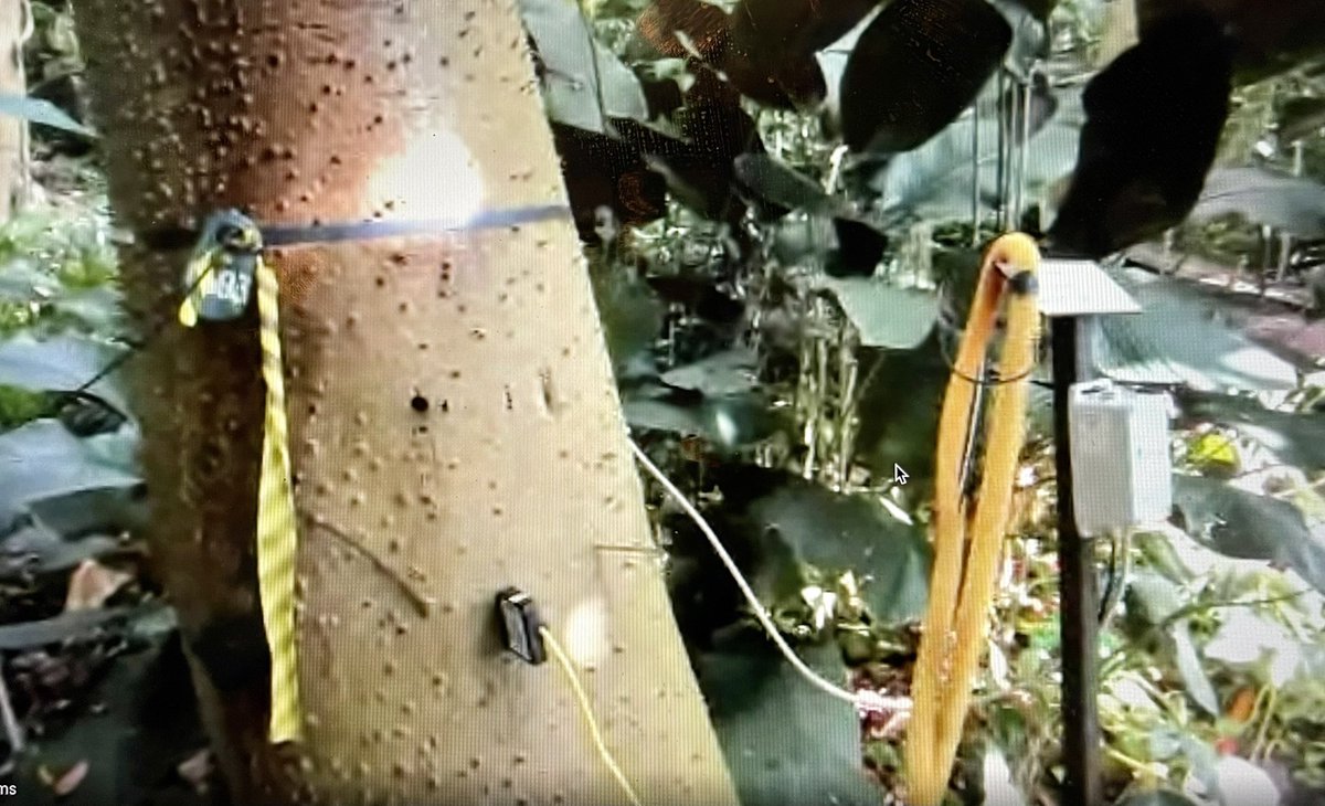 Great virtual field trip inside <a href="/B2science/">Biosphere 2</a>! <a href="/NCCAMiddle/">NC Cyber Academy Middle School</a> #science #scienceeducation