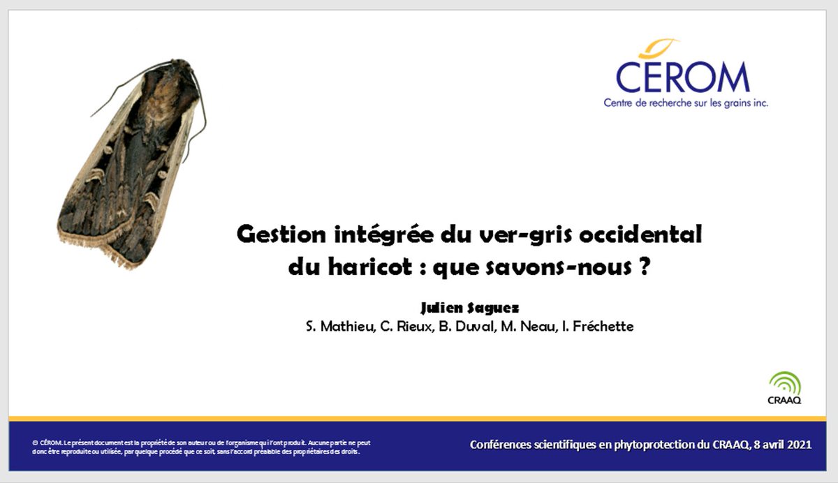 JSaguez's tweet photo. Les conférences scientifiques en #phytoprotection du @craaquebec commencent demain. Grandes cultures. Je donnerai trois conférences GRATUITES sur la légionnaire uniponctuée, le ver-gris occidental du haricot et les pièges automatisés.
Info et inscription: https://t.co/8nA69G2bs3 https://t.co/SnOlUk7IPL