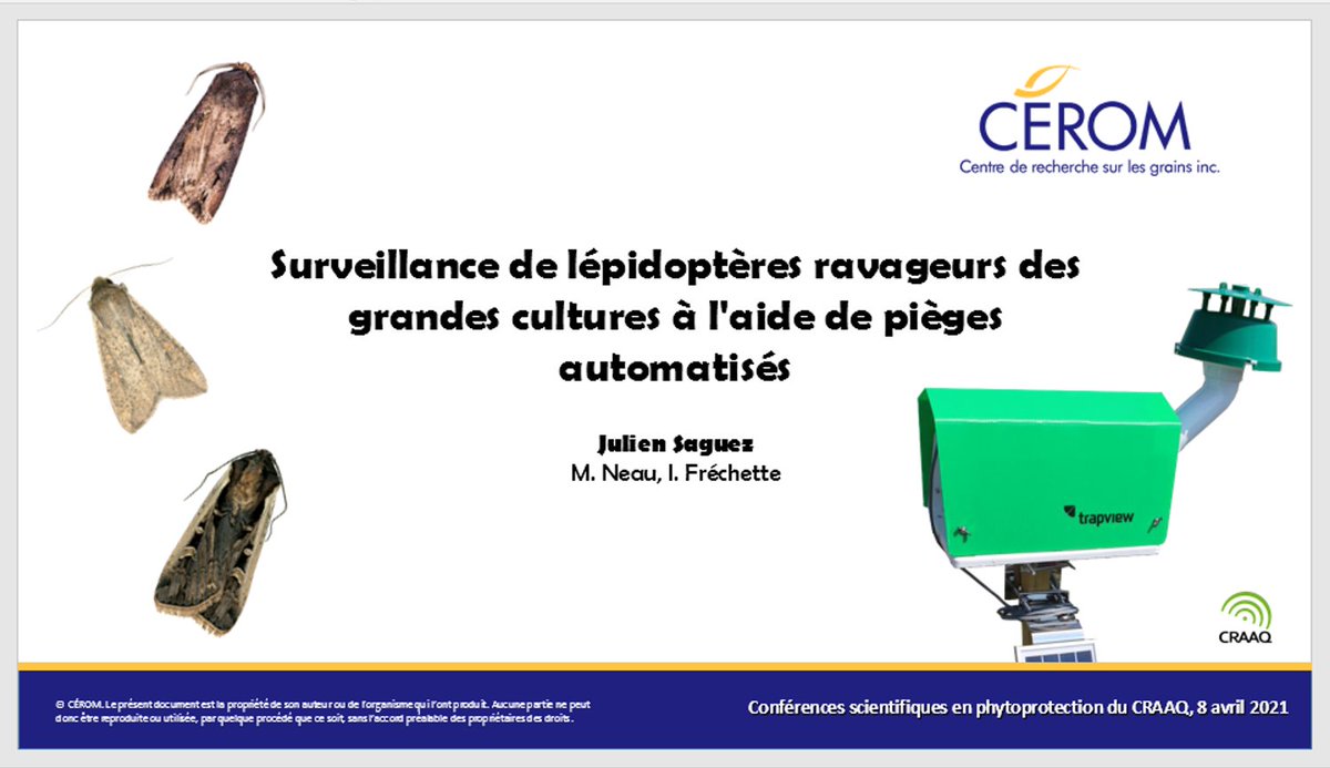 Les conférences scientifiques en #phytoprotection du @craaquebec commencent demain. Grandes cultures. Je donnerai trois conférences GRATUITES sur la légionnaire uniponctuée, le ver-gris occidental du haricot et les pièges automatisés.
Info et inscription: craaq.qc.ca/Evenements-du-…