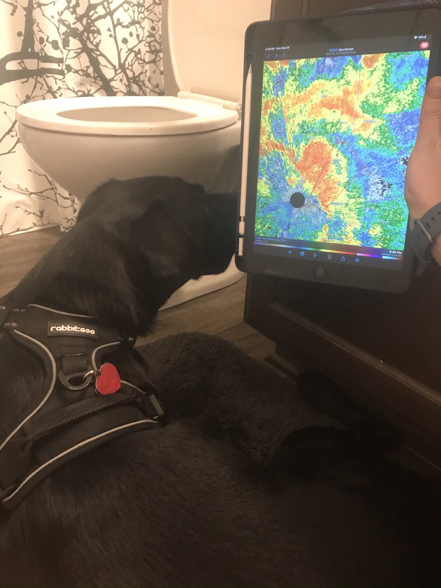 alexcaruthers's tweet photo. Action shot #SafePlaceSelfie from last year! Sheltering in our downstairs bathroom. Dakota has her harness with ID tags on, just in case https://t.co/3u9X2900N9