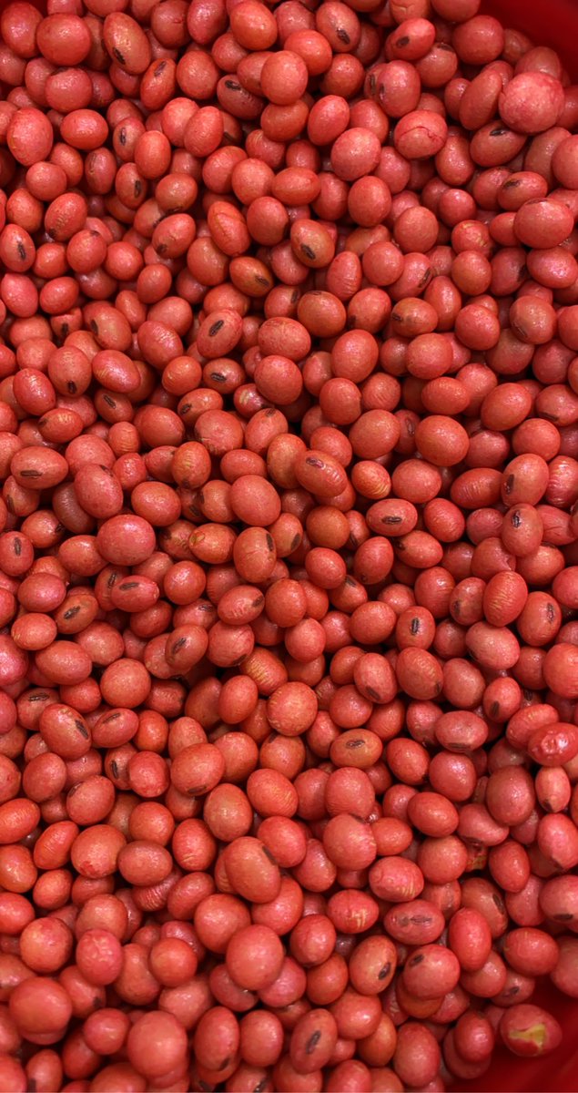 The treater is dialed in!! #plant21