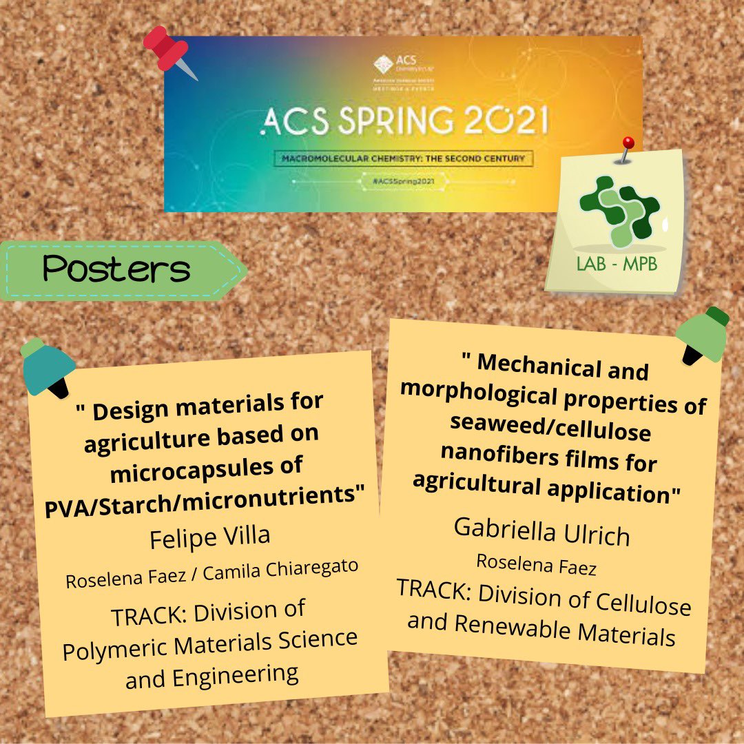 Roselena Faez tweet media