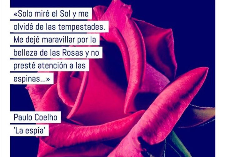 Paulo Coelho Español (@paulocoelhodice) on Twitter photo 