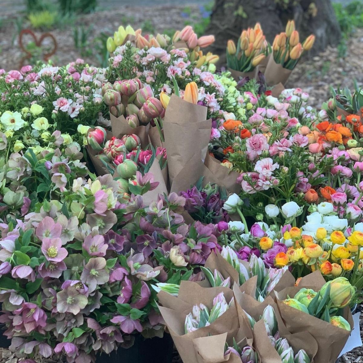 SDFarmersMarket's tweet photo. Pre-orders are Opening for the South Durham Farmers Market on Saturday 4/10! - https://t.co/jYSnOE93Ey https://t.co/Dc8v4eP52k