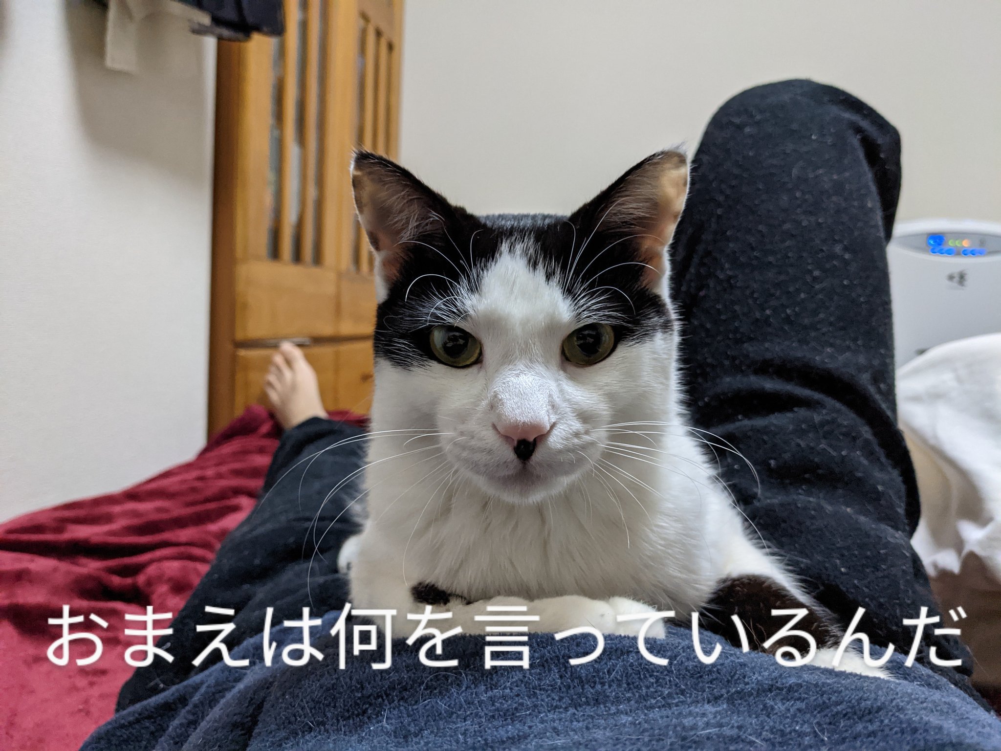 Twitter 上的 きむ お前は何を言っているんだギャラリー T Co Aff0abvdhb Twitter Twitter 上的 きむ お前は何を言っているんだギャラリー T Co Aff0abvdhb Twitter