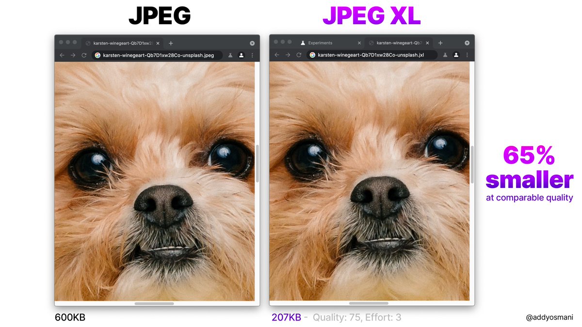 JPEG vs JPEG XL using early decoding support in Chrome. The JPEG on the left is 600KB and the JPEG XL on the right is 207KB. That's 65% smaller at comparable quality.