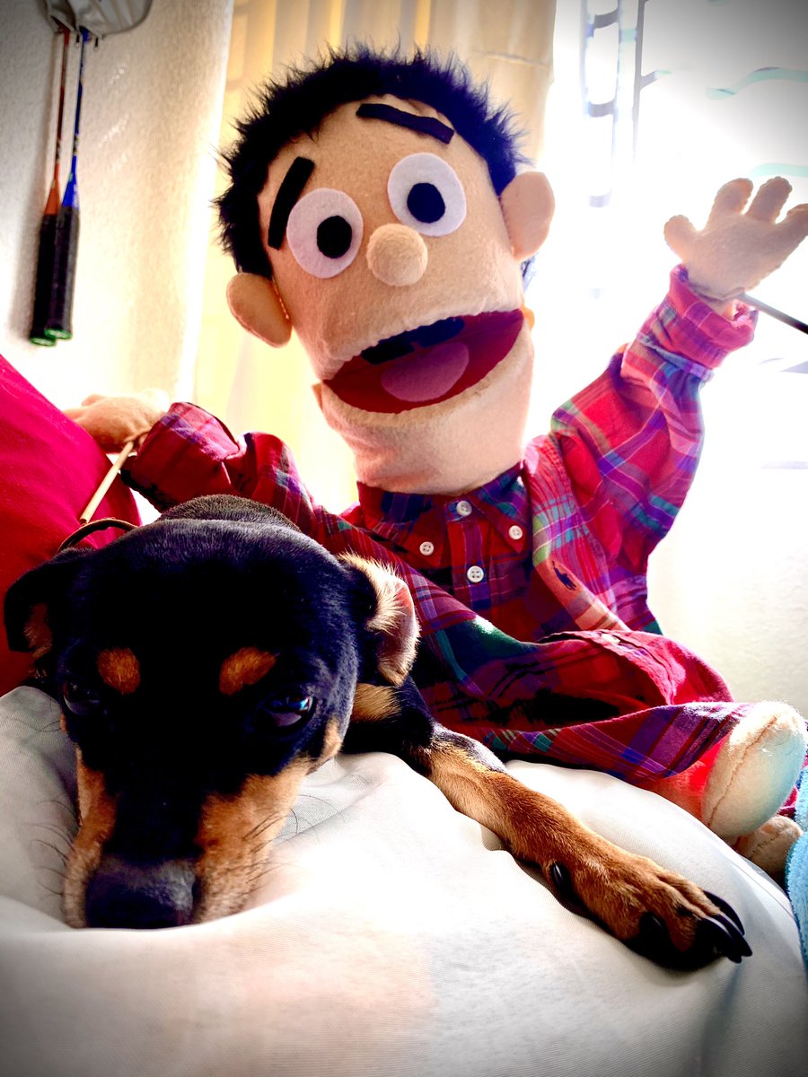 DavidPuppetMX's tweet photo. Mi meta en la vida es ser tan buena persona como mi perro ya cree que soy. 🐶❤️ https://t.co/JKKvgOzbLe