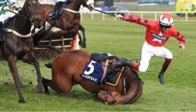 Don’t bet on the Grand National this Saturday the only winner is animal cruelty <a href="/LeagueACS/">League Against Cruel Sports</a> <a href="/AnimalAid/">Animal Aid</a> <a href="/PETAUK/">PETA UK</a> <a href="/emeliobedelio/">Emily</a>