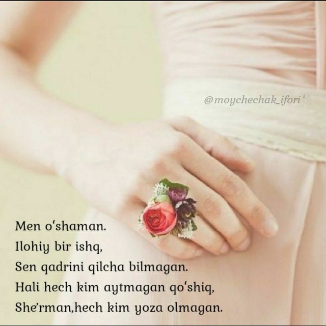 Pantolonsiz gimnastikachilar