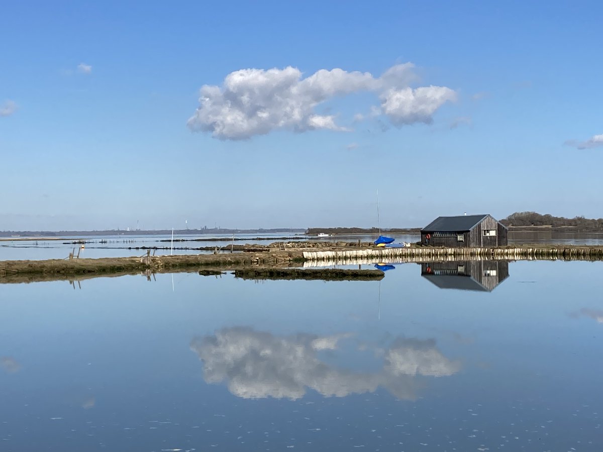 todayatthebay's tweet photo. The imaginatively named ‘Black Hut’ at Newtown Creek. https://t.co/VhSs3ghik6