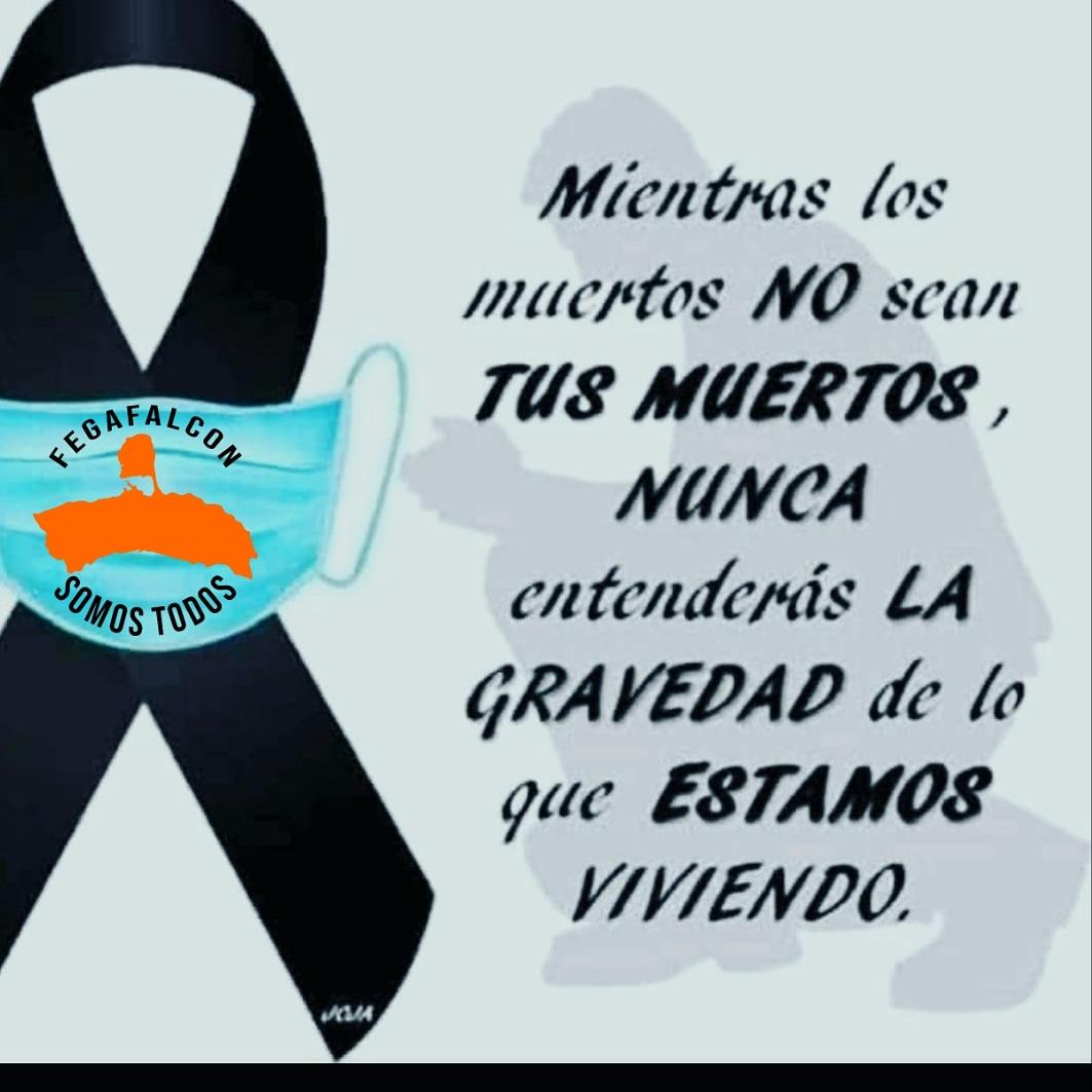 Fegafalcon (@fegafalcon) on Twitter photo 