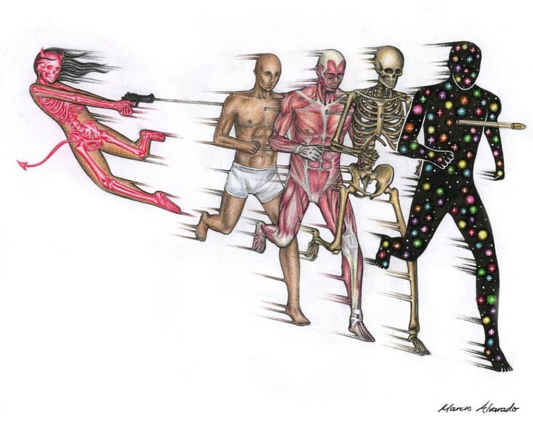 Melissa Iruegas tweet media